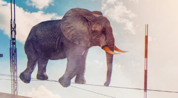 Ein Elefant auf einem Drahtseil